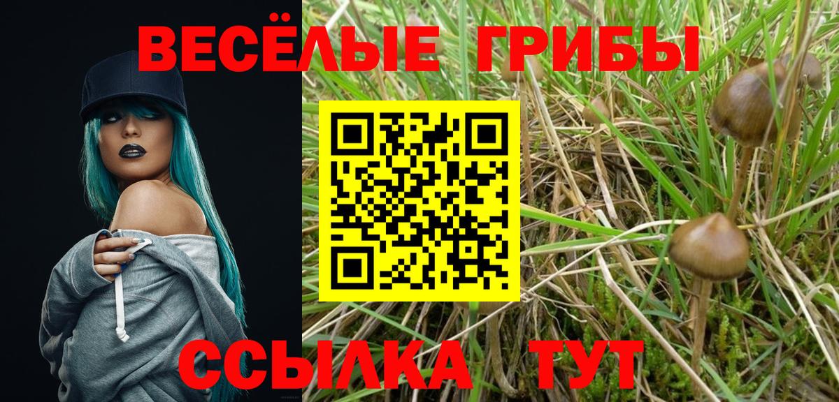 Псилоцибиновые грибы мицелий Усинск